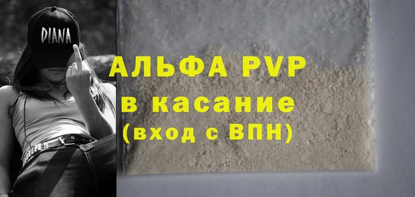 стаф Богданович