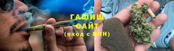 стаф Богданович