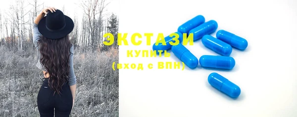 стаф Богданович