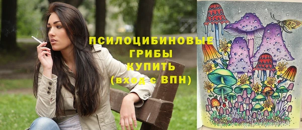 прущий лед Богородск