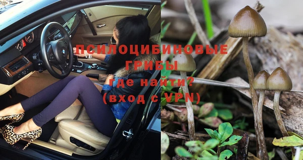 стаф Богданович