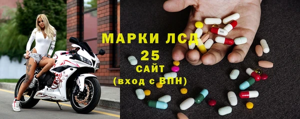 стаф Богданович