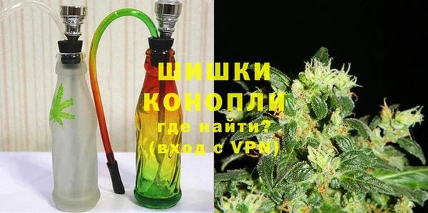 стаф Богданович