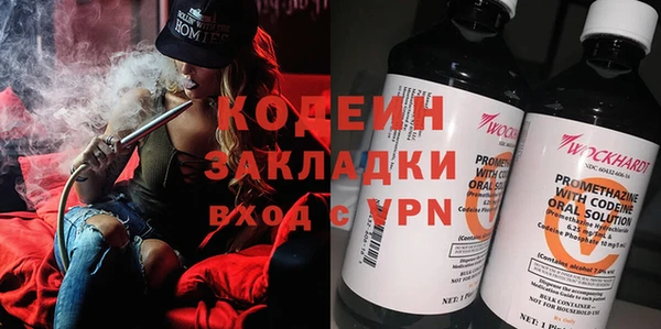 стаф Богданович