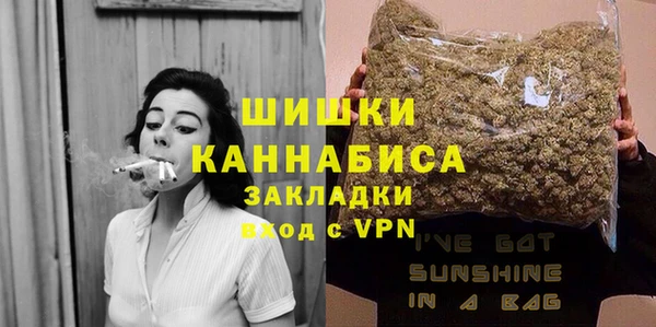 МДПВ Саяногорск
