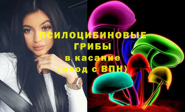 стаф Богданович