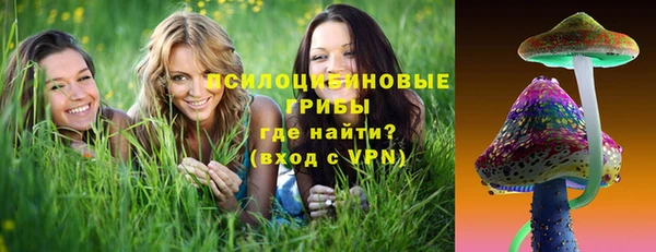 стаф Богданович