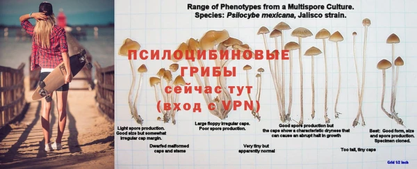 каннабис Бородино