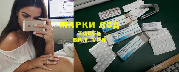 стаф Богданович