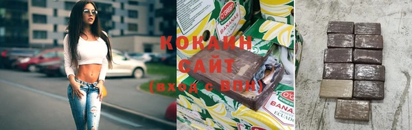 стаф Богданович