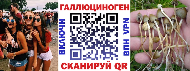 Галлюциногенные грибы Magic Shrooms  omg ССЫЛКА  Дорогобуж 